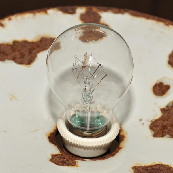 Light bulb with mosquito